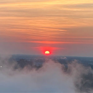 Meet your Posher, Molly